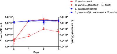 The Postbiotic Activity of Lactobacillus paracasei 28.4 Against Candida auris